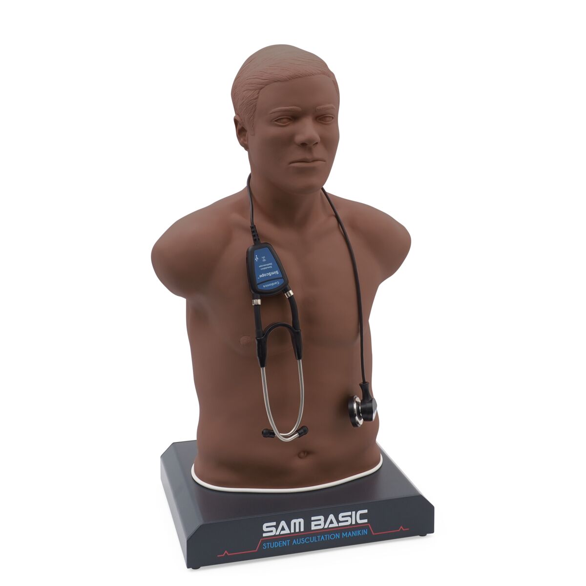 SAM Basic® - Affordable Adult Auscultation Manikin with Laptop