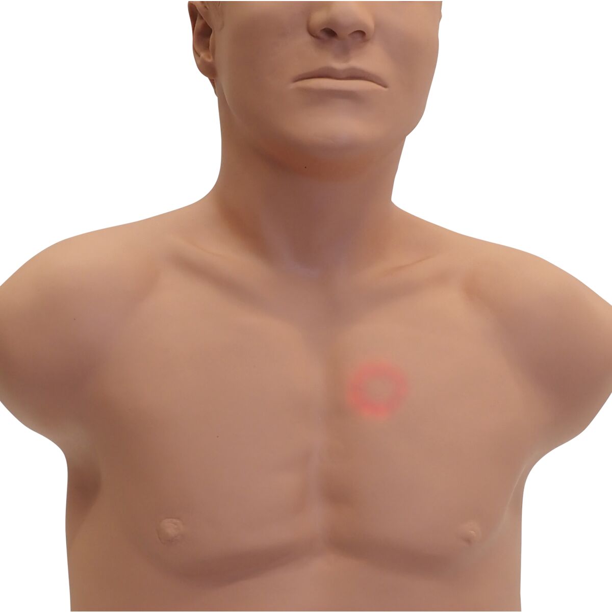 SAM4 Auscultation Manikin