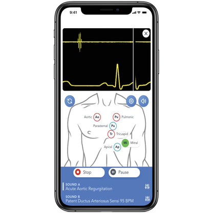 SAM4 Auscultation Manikin