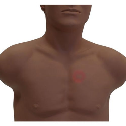 SAM4 Auscultation Manikin