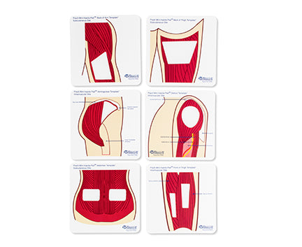 Practi-Mini Anatomical Templates™ (Color)