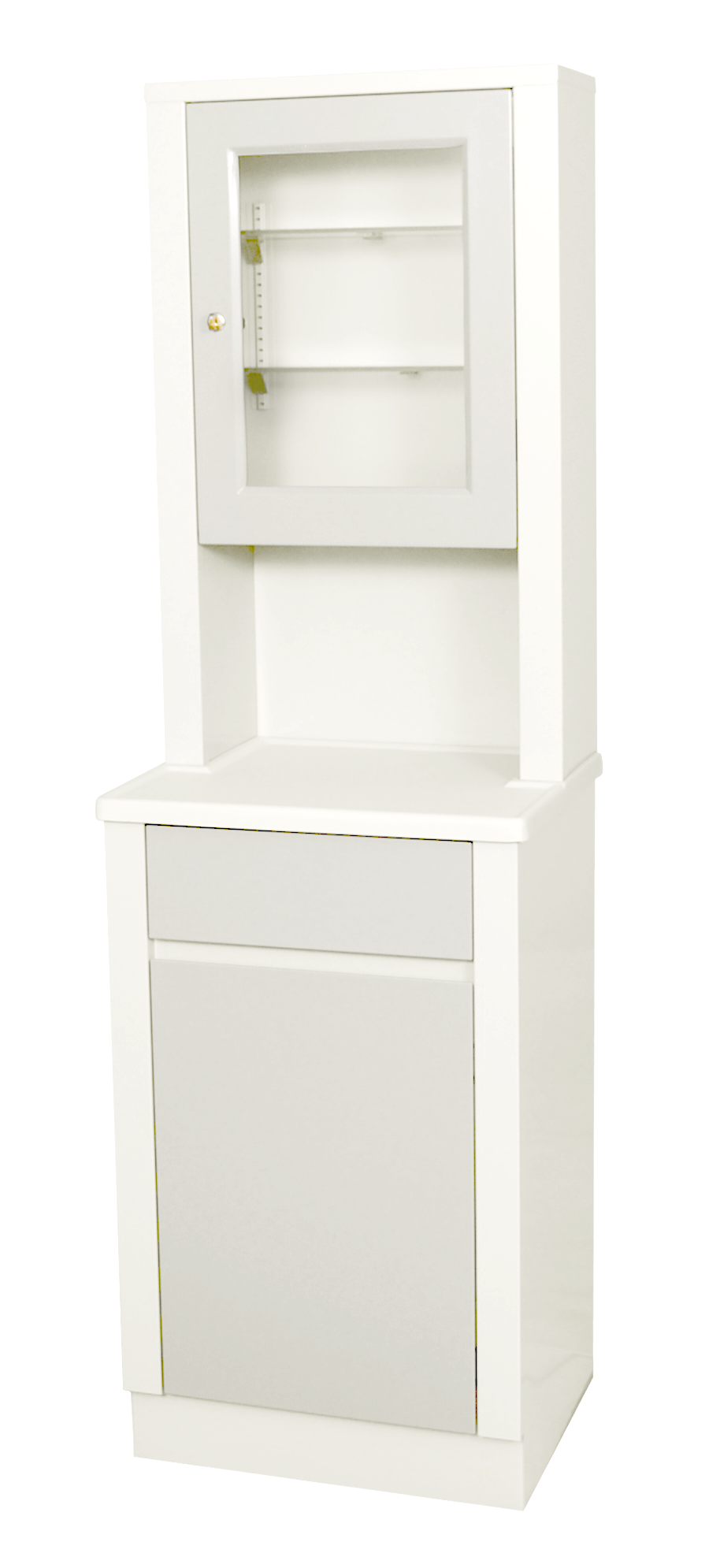 Modular Treatment Cabinet and Overhead Cabinet with One Bottom Drawer and Door