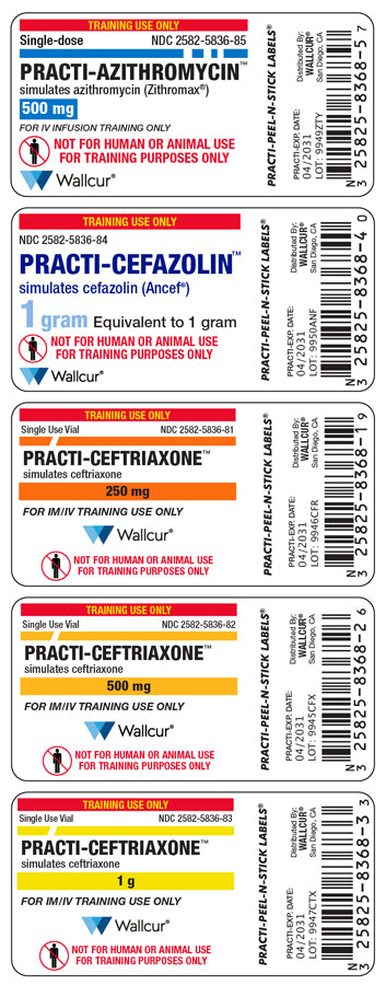 Practi-Antibiotic™ Peel-N-Stick Labels (for training)