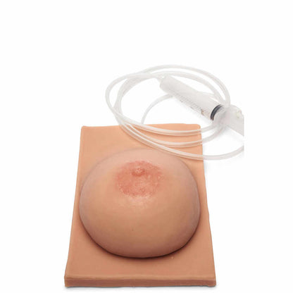 Medicor Breast Model with Inverted Nipple