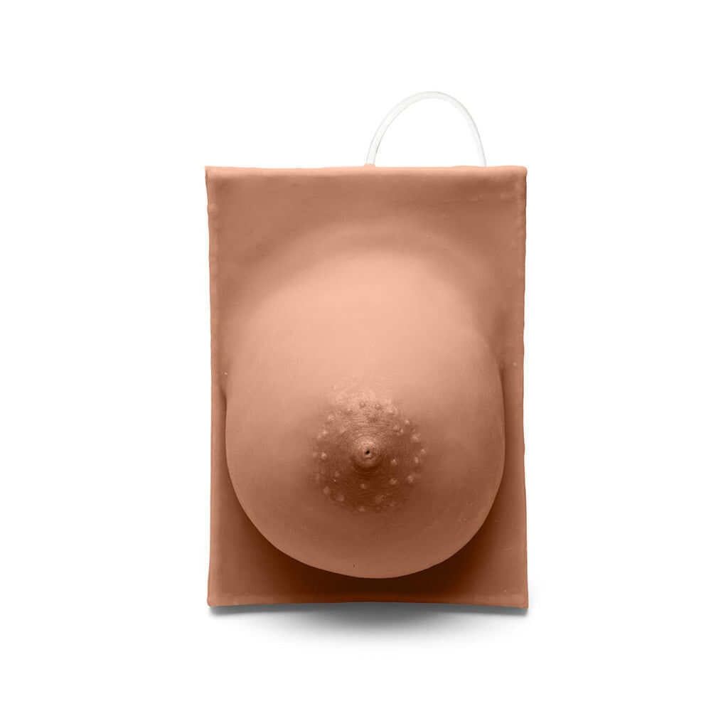 Medicor Breast Model with Inverted Nipple