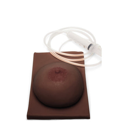 Medicor Breast Model with Inverted Nipple