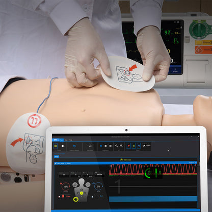 Advanced BLS Simulator