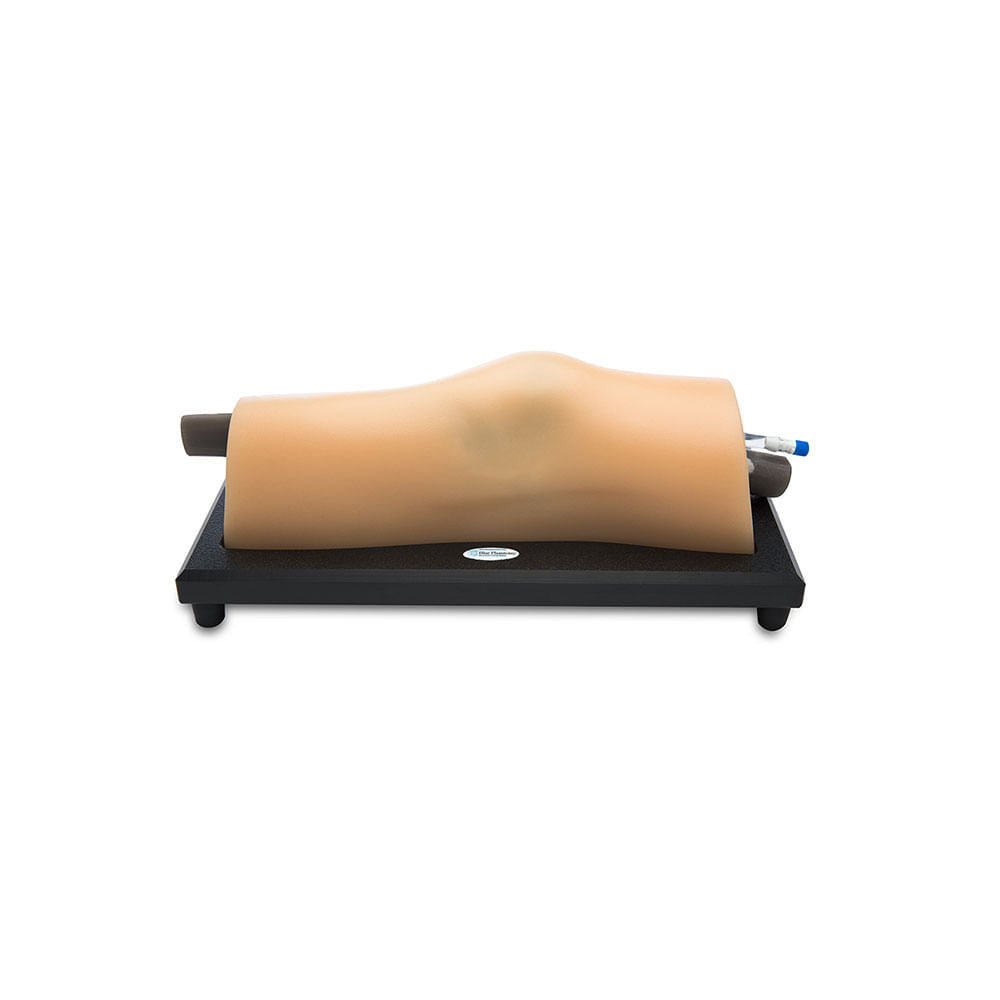 Blue Phantom MSK Knee Ultrasound Training Model