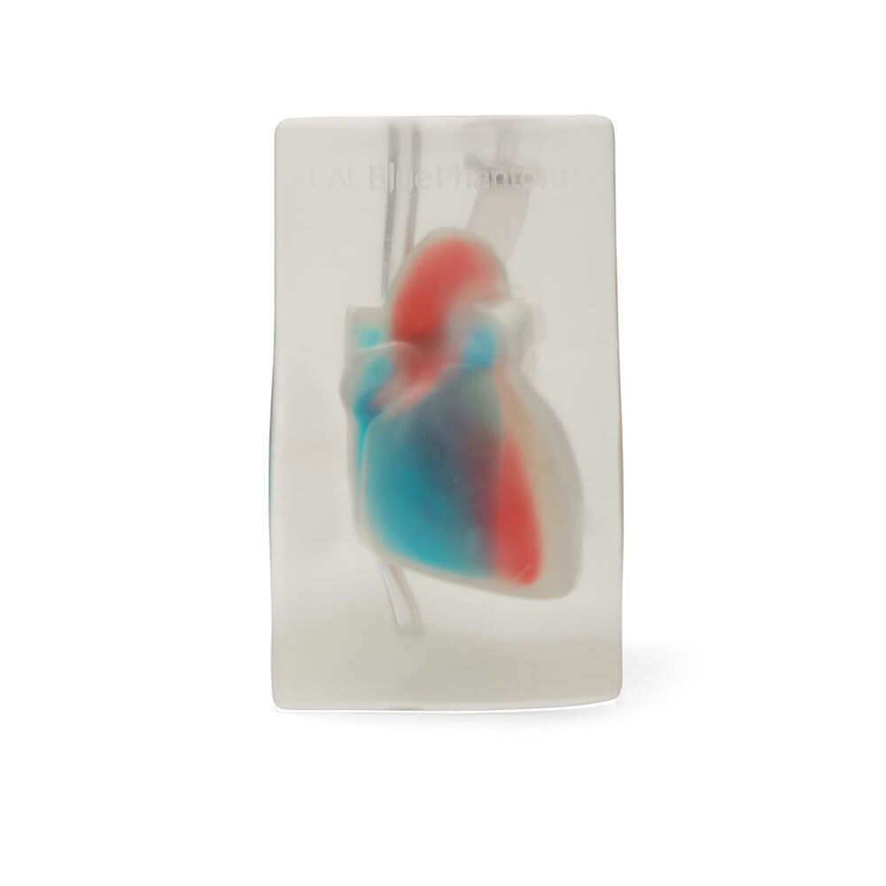 Blue Phantom Cardiac Ultrasound Training Block