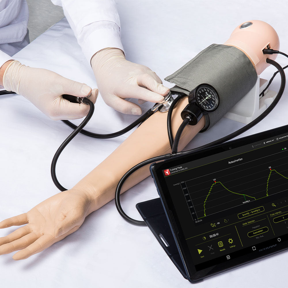 B.P/Pulse Assessment Simulator