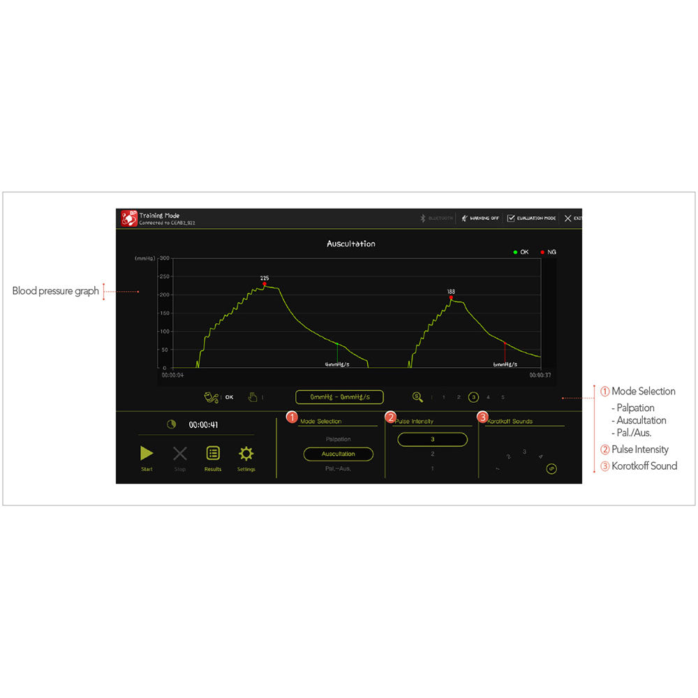 B.P/Pulse Assessment Simulator