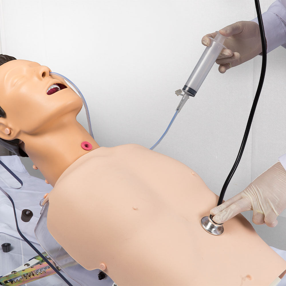 Tube Feeding & Tracheostomy care & Suction Training Model