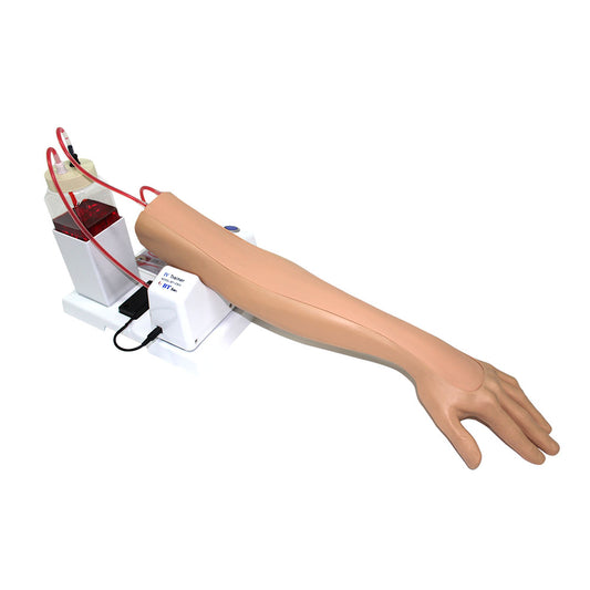 Intravenous Injection Training Arm Model 1 – Adult (Motor)