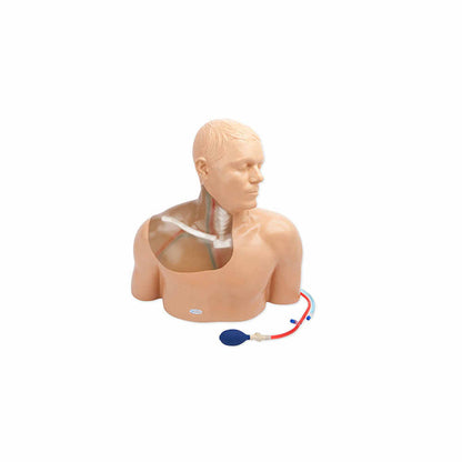 Blue Phantom Gen II Central Line Ultrasound Training Model