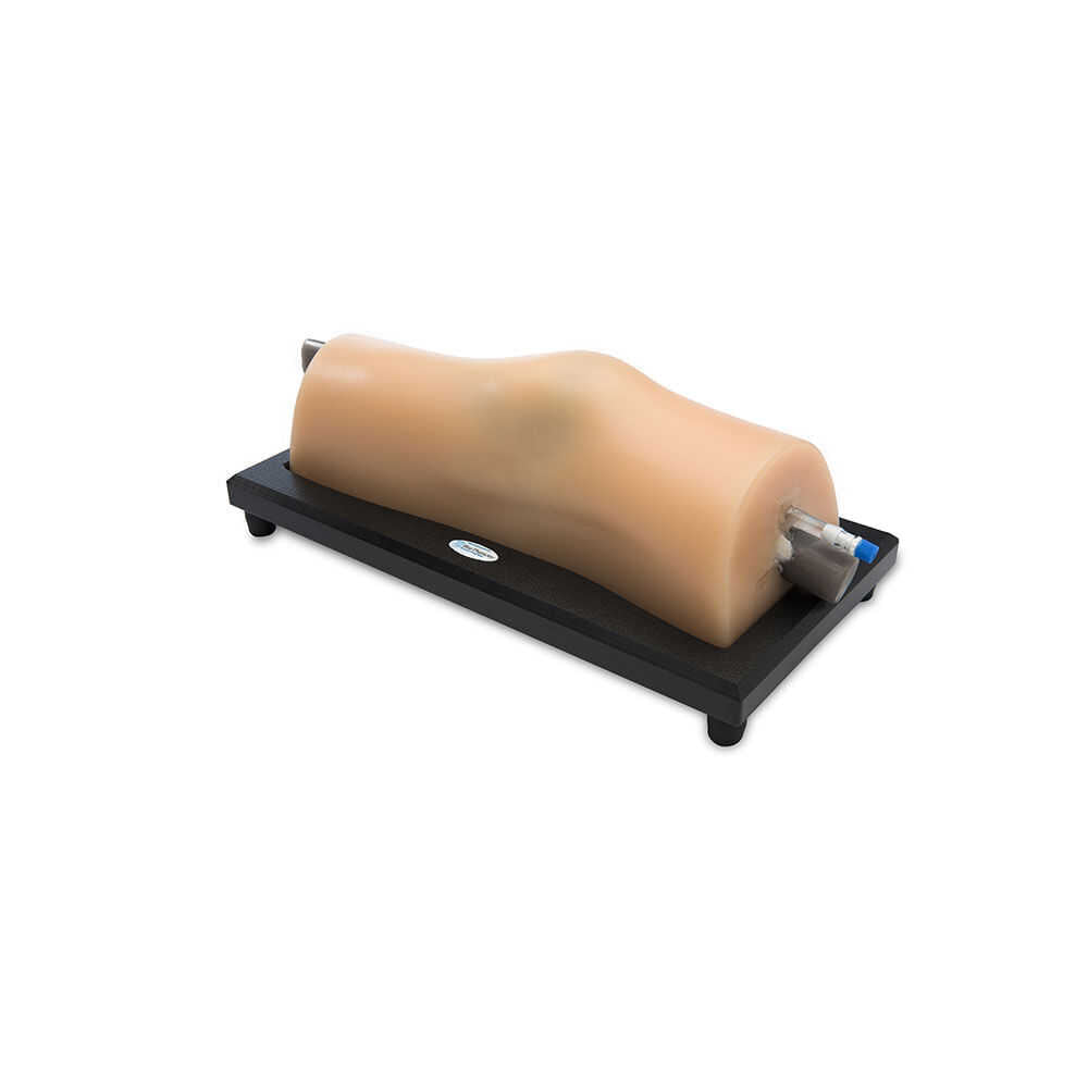 Blue Phantom MSK Knee Ultrasound Training Model