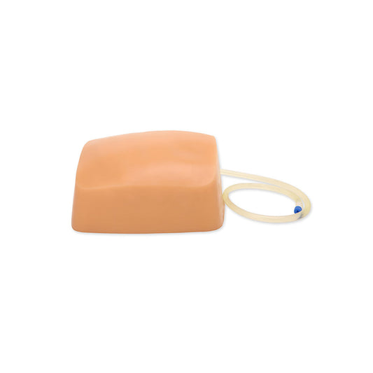 Blue Phantom Midscapular Thoracentesis Replacement Insert