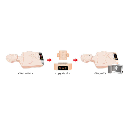 Self-Training CPR Model – Sherpa Plus