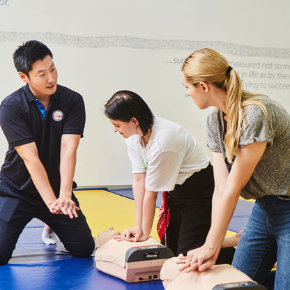 Self-Training CPR Model – Sherpa Plus