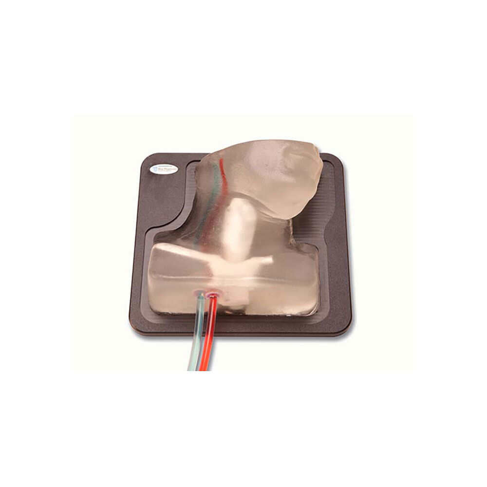 Blue Phantom Internal Jugular Central Line Ultrasound Training Model