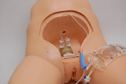 Cathi Female Catheterization Trainer