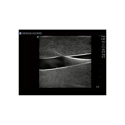 Blue Phantom Central Line and Regional Anesthesia Ultrasound Training Models