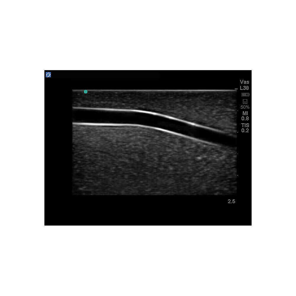 Blue Phantom Femoral Vascular Access Ultrasound Training Model